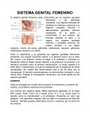 SISTEMA GENITAL FEMENINO