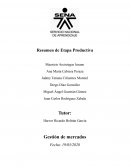 Resumen de Etapa Productiva