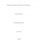 TERMODINAMICA: TEMPERATURA, CALOR Y PRIMERA LEY DE TERMODINAMICA