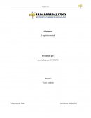 Todos podemos aportar para frenar efectos del plástico sobre la naturaleza