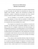 Historia de la COIN