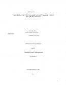 Articulo DE Revisión Teorias Administrativas