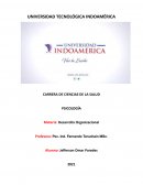 LAS TÉCNICAS DE DESARROLLO ORGANIZACIONAL