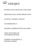 Dictamen de documentoscopia