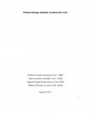 Estructura Organizacional AR Construcciones