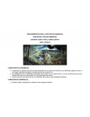 PROCEDIMIENTOS PARA LA PROTECCION AMBIENTAL