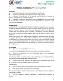 Morfología Vegetal TRABAJO PRÁCTICO N°1. Microscopía y citología