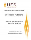 Orientación Nutricional