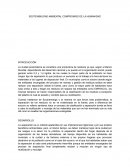 SOSTENIBILIDAD AMBIENTAL COMPROMISO DE LA HUMANIDAD
