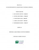 PRACTICA 4: LEY DE OHM: RESISTENCIA, RESISTIVIDAD Y MATERIALES ÓHMICOS