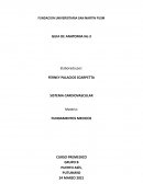 Anatomia macroscopica sistena circulatorio