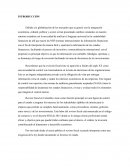 El papel del revisor fiscal en NIIF