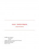 Canvas – Domótica integrada. Emprendimiento