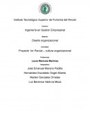 Proyecto 1er Parcial – cultura organizacional