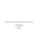 Tecnologia aplicada a rrhh control semana 1