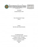 Breve Historia de la Antropología