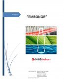 Informe finanzas Coca Cola Embonor Sociedad Anónima