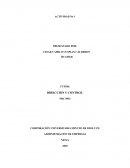 Historia academica administración de empresas