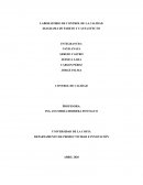 LABORATORIO 5 CONTROL DE CALIDAD