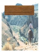 ANTOLOGÌA PALOMARES