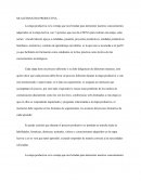 MI ALTERNATIVA PRODUCTIVA