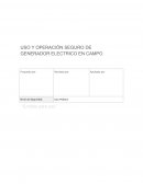 USO Y OPERACIÓN SEGURO DE GENERADOR ELECTRICO EN CAMPO