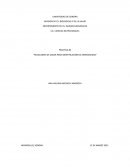 PRACTICA #4 “REACCIONES DE COLOR PARA IDENTIFICACIÓN DE AMINOÁCIDOS”
