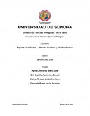 Reporte de práctica 5. Metales alcalinos y alcalinotérreos