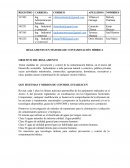RESUMEN REGLAMENTO EN MATERIA DE CONTAMINACION HIDRICA