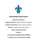 Ensayo sobre el feminicidio