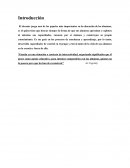 El papel del maestro en la educación del alumno