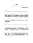 Ensayo ¿Por qué fracasan los países?