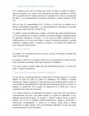 Trabajo social UJA: preguntas examen de derecho penal