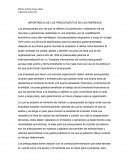 IMPORTANCIA DE LOS PRESUPUESTOS EN LAS EMPRESAS