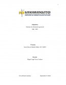 ANALISIS DE LOS RIESGOS INFORMATICOS