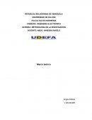 MARCO TEORICO METODOLOGIA