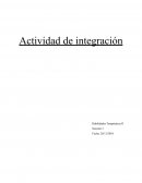Actividad de integración . Habilidades Terapéuticas