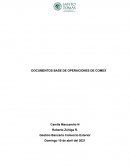 Documentos base de comex