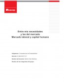 Mercado laboral y capital humano