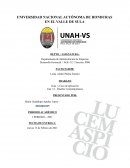 Guía y Caso de aplicación Cap. 12 - Diseños Contemporáneos