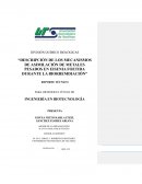Mecanismos de asimilación de metales pesados por Eisenia Foetida durante la biorremediación