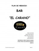 PLAN DE NEGOCIO: BAR “EL CARAHO”