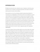 Migracion. El flujo migratorio