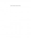 ENSAYO TEORIA CONTRUCTIVISTA