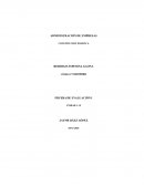 Derechos constitucion politica