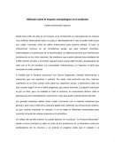 Reflexión sobre el impacto antropológico en el ambiente