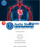 ¿Pericarditis epistenocardica o síndrome de Dressler? Un caso de autopsia