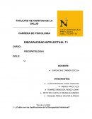 ¿Cuáles son las clasificaciones de la Discapacidad Intelectual?