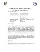 PLAN DE TRABAJO – PSICOLOGÍA EDUCATIVA . PRÁCTICAS PRE – PROFESIONALES