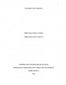 Caso práctico unidad 1 MIcroeconomia